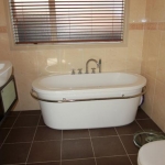 Norx-Cyril-French-Flat-Bush-10-Bathroom