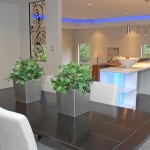 Norx, Albany, North Shore, 06 Dining